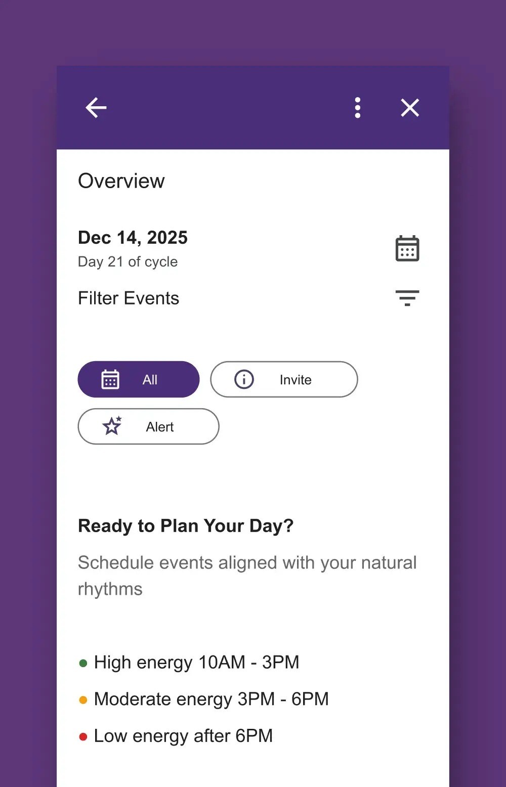 The Google Calendar add-in’s Overview, showing the same day plan in plain platform components with no tabs